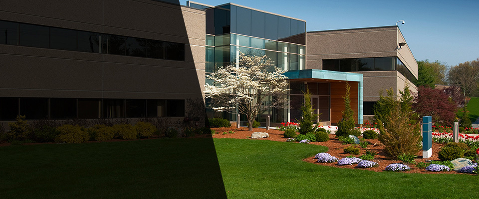 Roseburg Landscapers