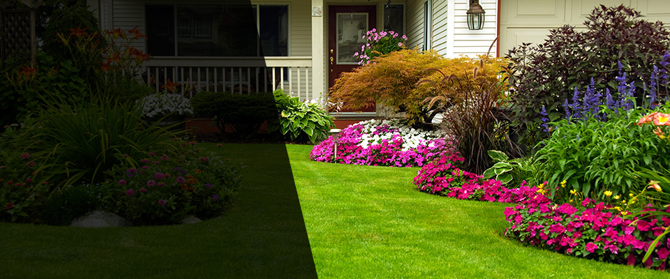 Roseburg Landscapers
