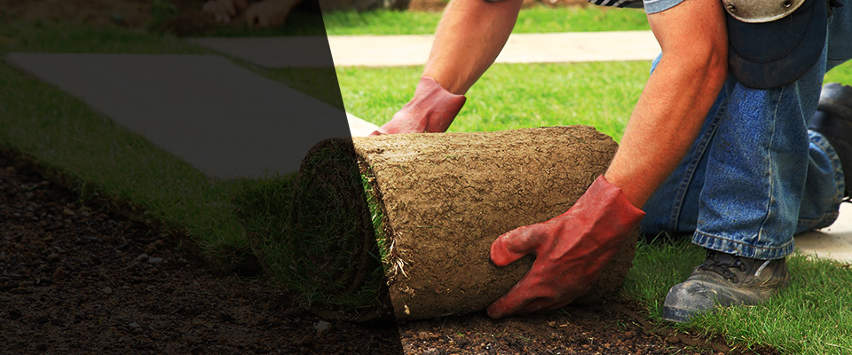 Roseburg Landscapers